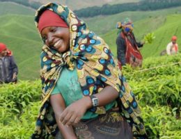 Femmes au champ - Afrique agricole