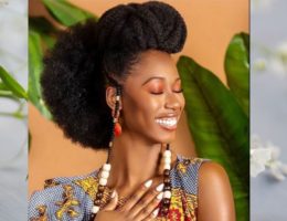beautiful-african-girl with natural hair-fulani hairstyles-femme noire belle coiffure afro