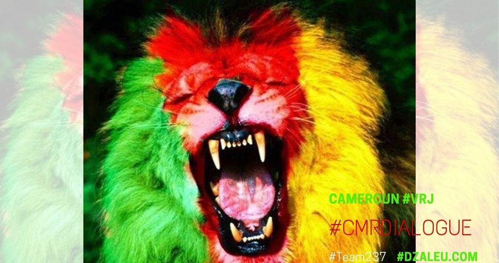 Cameroun : Drapeau vert rouge jaune