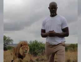 Djimon Hounsou, acteur d'orgine béninoise, défend la cause des animaux