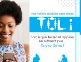 Camtel (Cameroon Telecommunications ) - Yaoundé