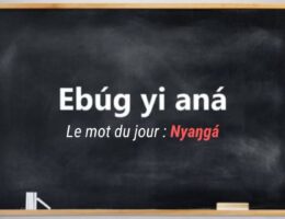 apprendre_ewondo_mot_du_jour1_nyanga1_dzaleu_tuto_ekang