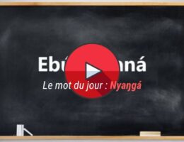 tuto_video_ewondo_mot_du_jour1_nyanga_dzaleu apprendre ekang