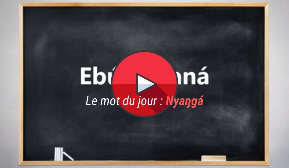 tuto_video_ewondo_mot_du_jour1_nyanga_dzaleu apprendre ekang